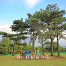 천년나무1단지@(17신규) 이미지