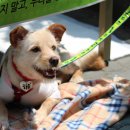 뚱아저씨떡볶이