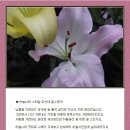 나라스타일