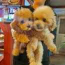 김녕 연지민박 이미지