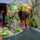 원시로4 이미지