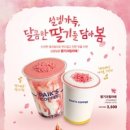 핑크다방 - 양양군 남문7길 14 | 핑크다방