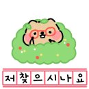 안양동물병원 이미지