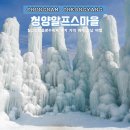 호길농장 | 청양 알프스마을 썰매 칠갑산얼음분수축제 후기 가격 예매 충남 여행