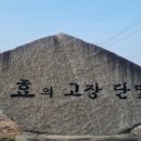 의성 신우정려비 | 단밀면 이야기
