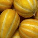 금사농장 이미지