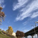 왕숙천 자전거도로17 이미지