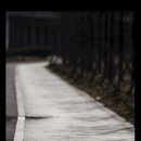 갈맷길8-2 이미지