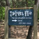 하늘빛으로 물든새 이미지