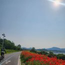 방일3리 마을회관 이미지