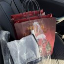 푸른세탁백화점 | Week 49. 뽀미결혼🎉🤵👰🎉