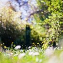 음악 여행 이미지