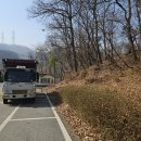 남부벌목