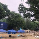 청학 이미지