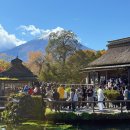 후지소바서면점 | 도쿄 후지산 자유여행 일일투어 코스 당일치기 가족여행 추천