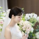 [결혼준비] 어두운홀 본식스냅 추천 ‘엘레나아뜰리에’ 후기(프레스센터플라자)
