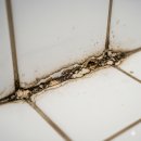 노루 화장실 | 📝 다이소 2000원 꿀템! '노루 줄눈 보수제'로 화장실 셀프 인테리어 완벽 변신 후기