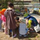 오음초등학교 이미지