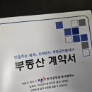(주)디딤돌 | 신혼부부+생애최초+신생아 특례 디딤돌 매매대출 후기ㅣ신한은행