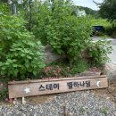 스테이별&송