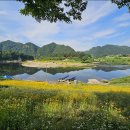 영월청령포 이미지