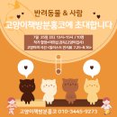 책방분홍코 이미지