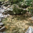 남원유도관 이미지