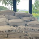 명인족발 이미지