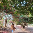 신촌목장 이미지