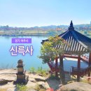 그늘막133 | 경기도 절 여주 가볼만한곳 신륵사 :: 은행나무 사찰 한강뷰 가을여행지