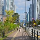 그림책놀이 미술놀이 | [성성동 북적북적 그림책놀이]북적북적 내돈내산 체험수업 방문후기 만족스러운 점과 아쉬운점