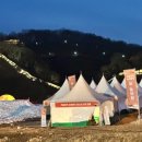 불타는 금요일 불타는 공주군밤축제 유후
