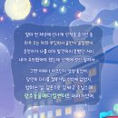 광주동물메디컬센터 이미지