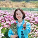 대안3길 네이버블로그