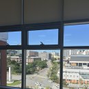 춘천로310번길 | 개강 왓츠인마이블로그