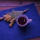 피트니스 가이드 이미지