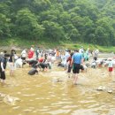 평창곤드레축제 Daum카페