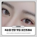 다온래쉬 - 서구 | [광안리 속눈썹연장] 맛집 속눈썹연장 추천 다온래쉬 눈매 또렷해지는 포인트연장