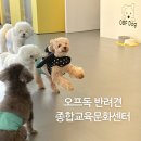 김해메디케어 | 양산 애견유치원, 애견호텔 솔직 후기 : n번째 재방문