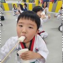 국가대표멘토태권도 이미지