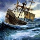 메이플라워 이미지