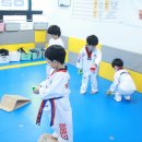 히어로즈 키즈펀 태권도 이미지