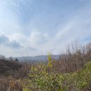 대관령사슴목장 이미지