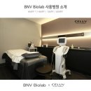 셀럽성형외과의원 네이버블로그