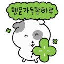 홍시마루
