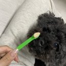 아이러브펫동물병원 은평점 이미지