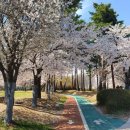 산모 영양제, 임신초기, 중기, 후기까지 건강하게 챙기기