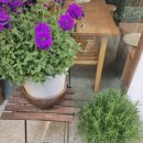 오원농장 | [삼청동 카페] 거울한옥 미러룸 솔직후기