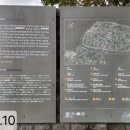 성읍리 느티나무 및 팽나무군 이미지