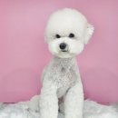 플라이봉 이미지